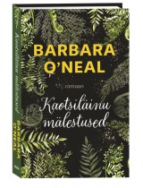 Kaotsiläinu mälestused