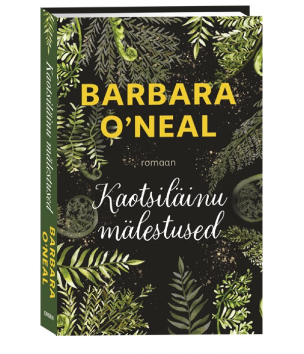 Kaotsiläinu mälestused